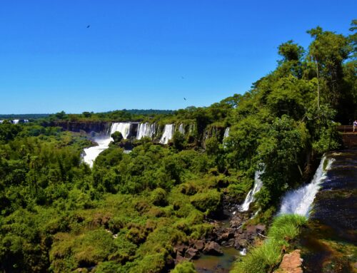 A New Chapter for Trade: The EU-Mercosur Agreement