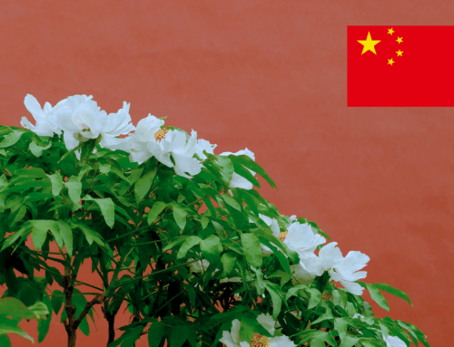 EU-China summit in Beijing: Geopolitics, Climate, Trade