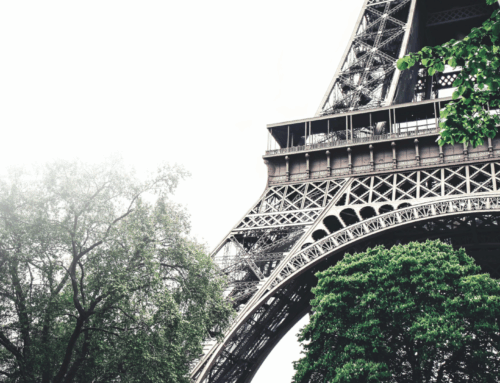 EU Climate Policy: Targets for 2035 and 2040