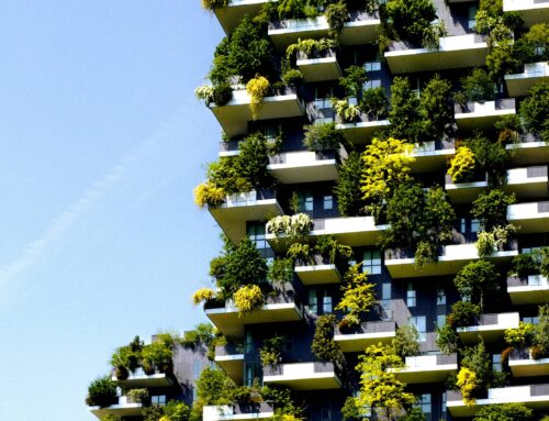 EU: Establishing a market for CDR technologies for carbon dioxide removal