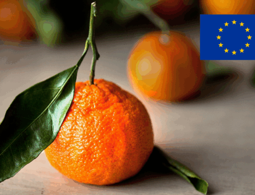 New anti-dumping proceedings by the EU Commission