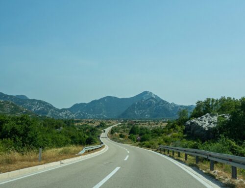 NCTS: Montenegro and Moldova join the Common Transit Convention