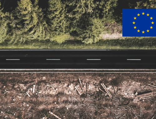 EU Deforestation Regulation: Postponement and Revision agreed