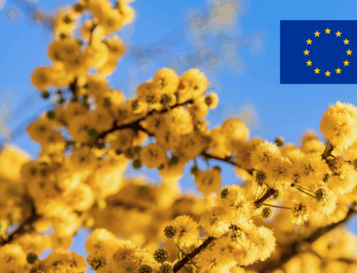 The EU-Mercosur trade agreement set to come into force in May 2026